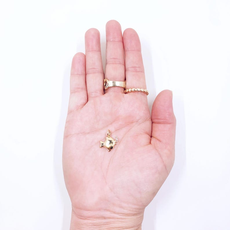 14k Two Tone Gold Fish Blowing Bubbles Charm