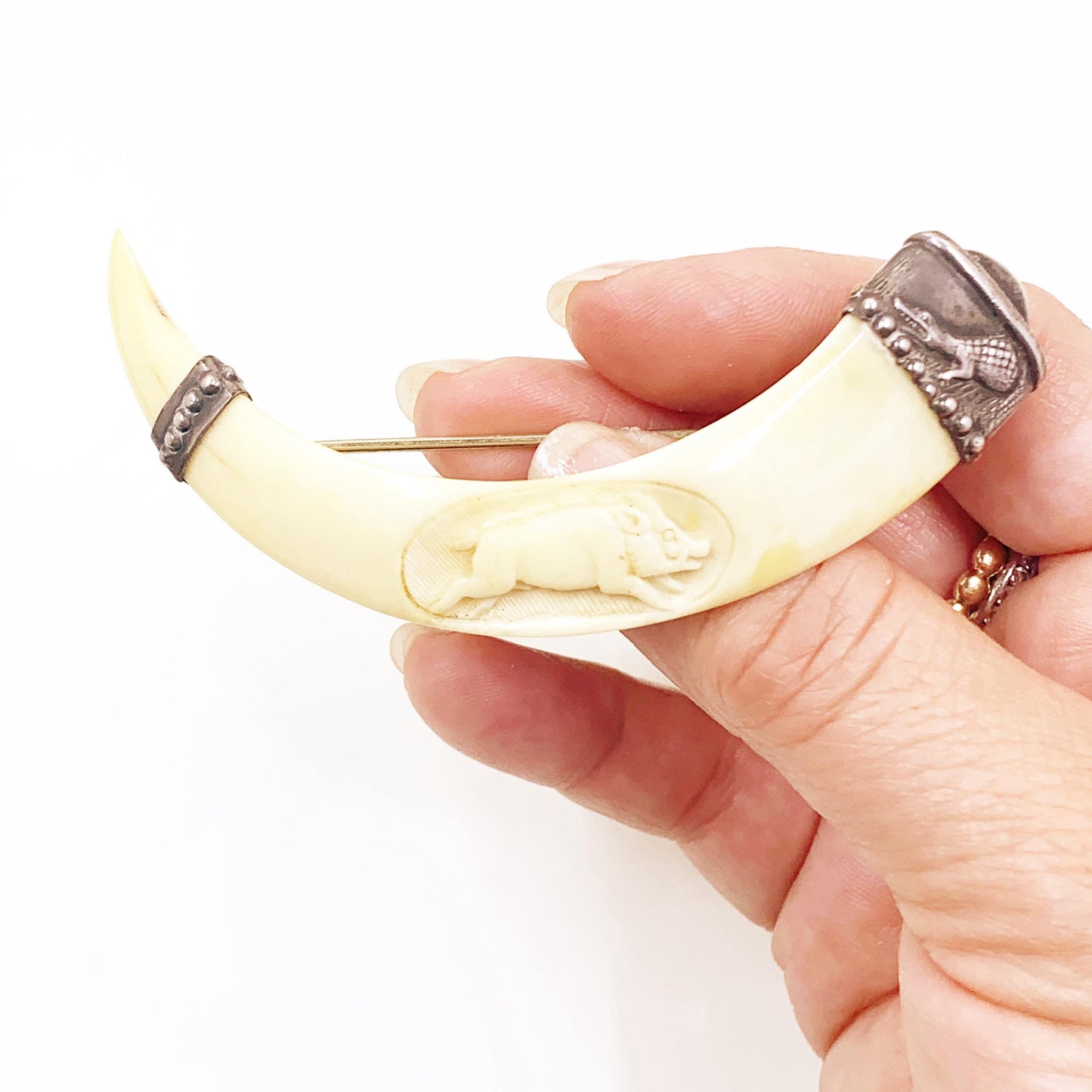 Antique Victorian Boar Tusk Brooch,  Silver Hunting Trophy Carved Animal Brooch