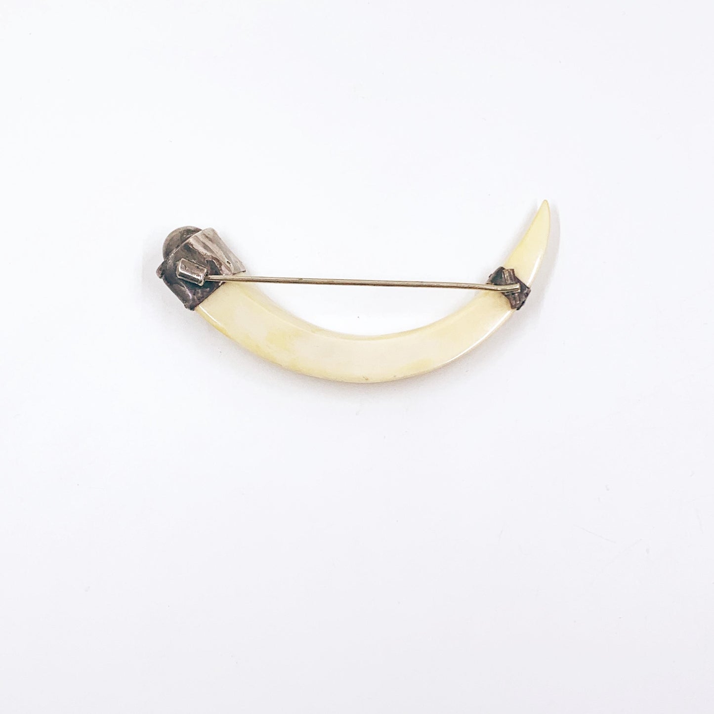 Antique Victorian Boar Tusk Brooch,  Silver Hunting Trophy Carved Animal Brooch