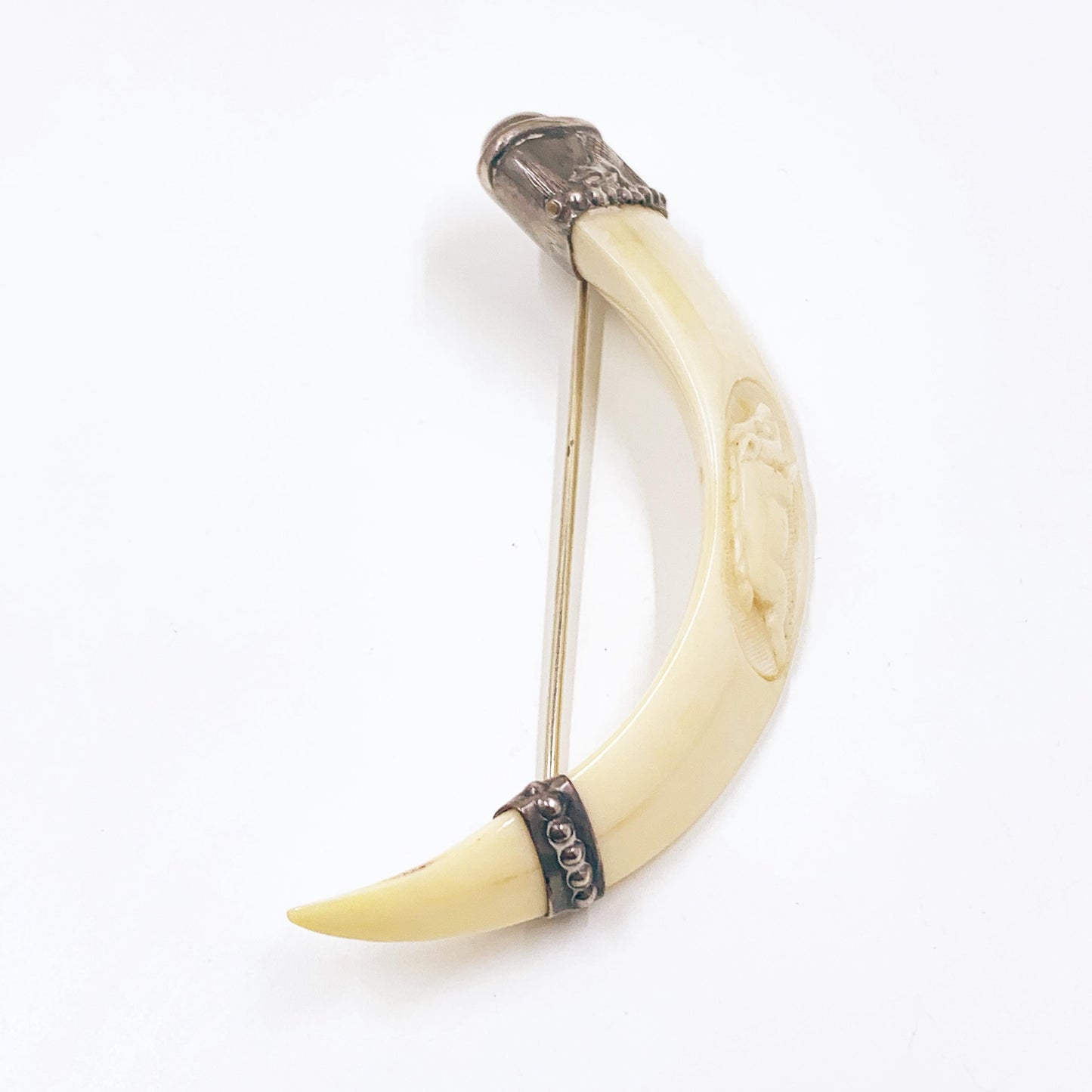Antique Victorian Boar Tusk Brooch,  Silver Hunting Trophy Carved Animal Brooch