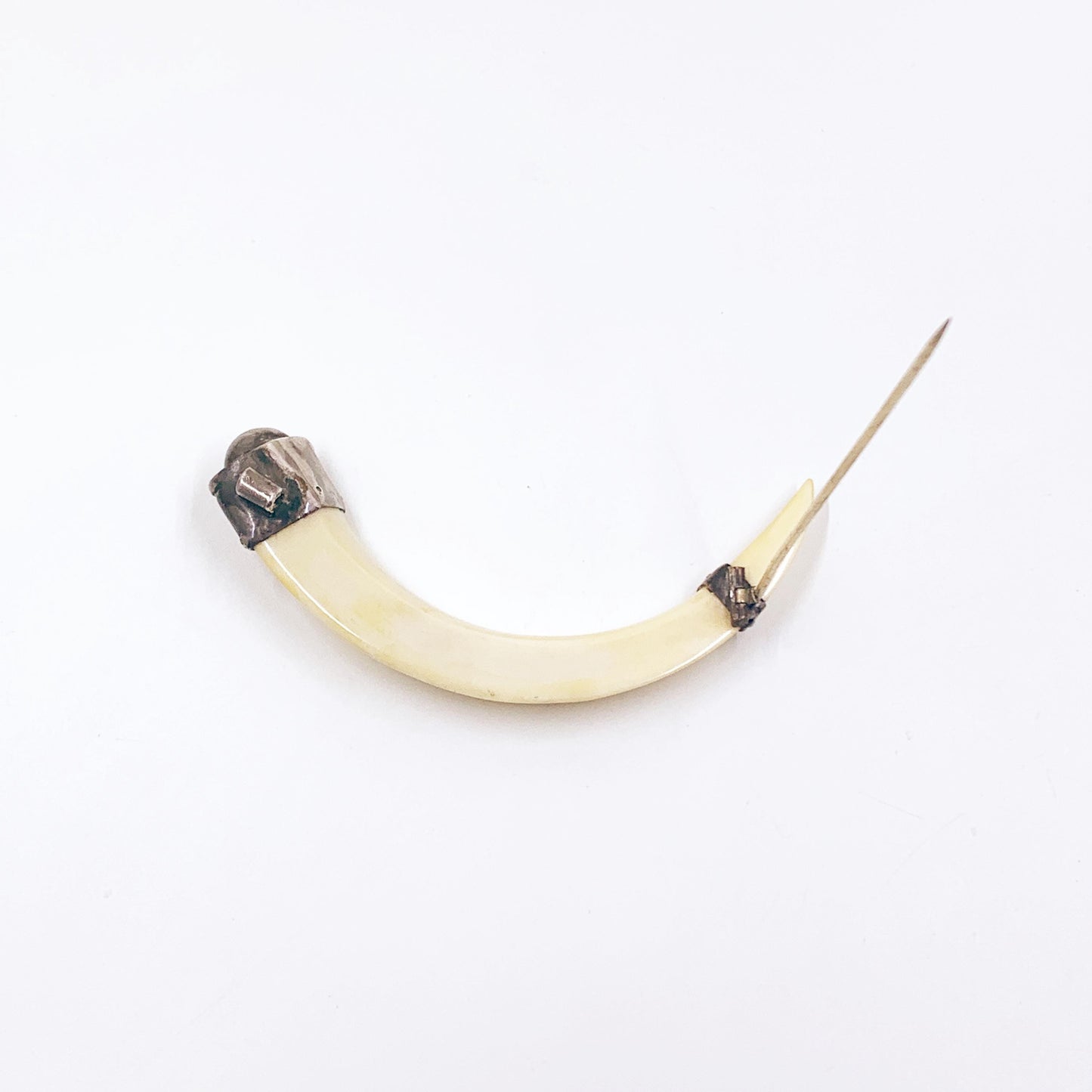 Antique Victorian Boar Tusk Brooch,  Silver Hunting Trophy Carved Animal Brooch