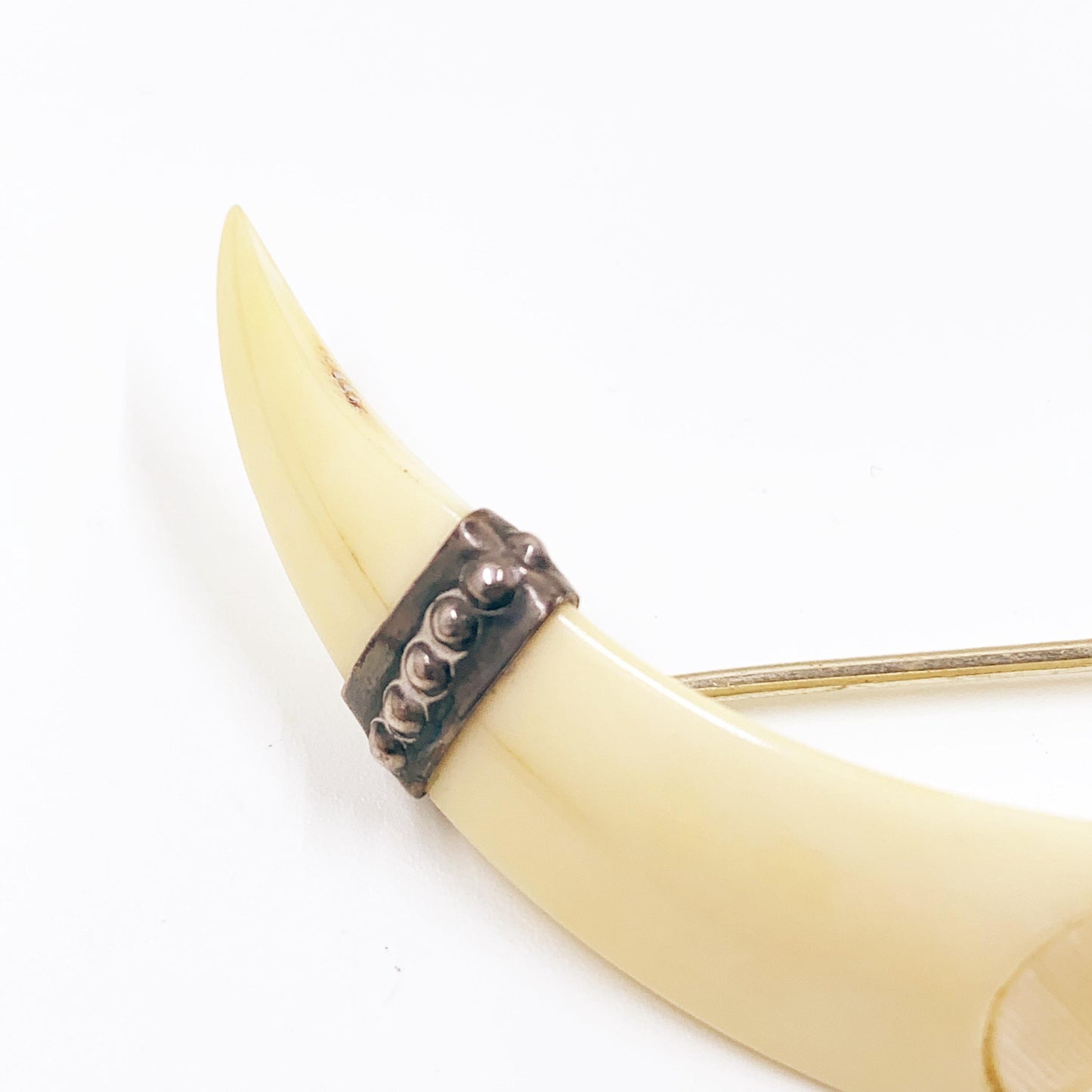 Antique Victorian Boar Tusk Brooch,  Silver Hunting Trophy Carved Animal Brooch