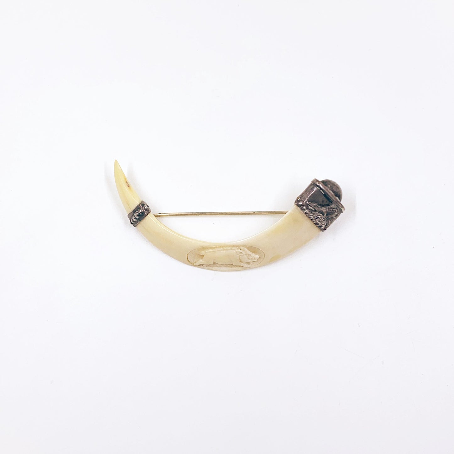 Antique Victorian Boar Tusk Brooch,  Silver Hunting Trophy Carved Animal Brooch