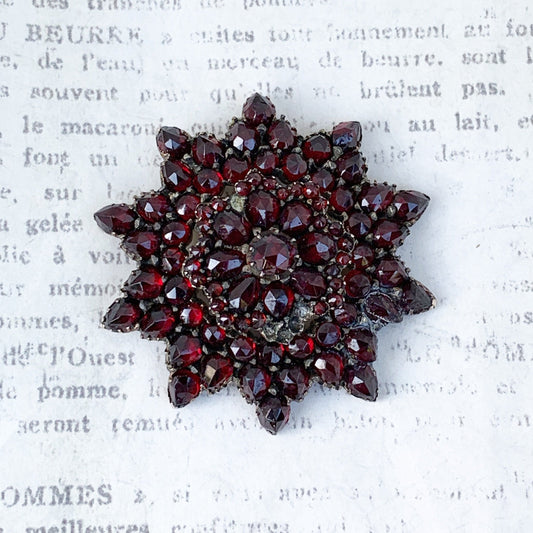 Victorian Garnet Cluster Brooch | Rose Cut Flower Garnet Brooch